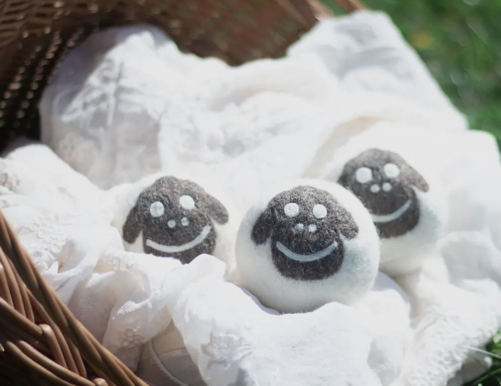 Eco Dryer Balls
